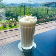 플레인요거트스무디 메뉴 사진(네이버)