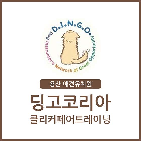 딩고코리아 클리커페어트레이닝 · 네이버 지도·플레이스 4