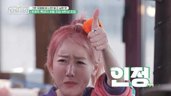바다를본돼지 제주협재판포점 · 네이버 지도·플레이스 9