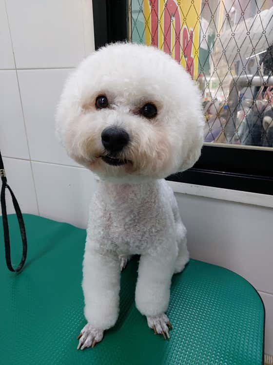 깍까독 · 네이버 지도·플레이스 8