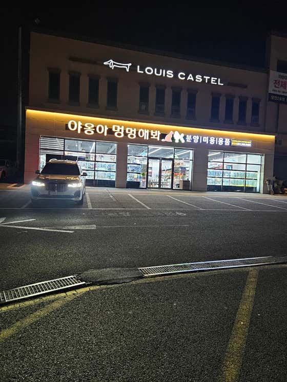 야옹아멍멍해봐 당진시곡점 · 네이버 지도·플레이스 2