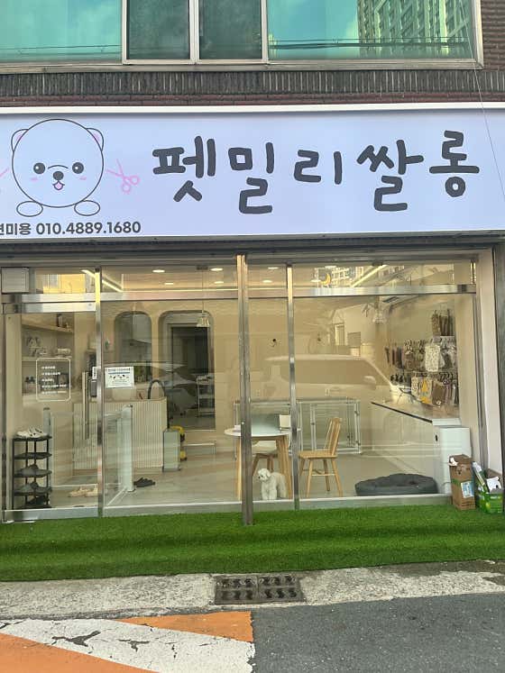 펫밀리쌀롱 · 네이버 지도·플레이스 2