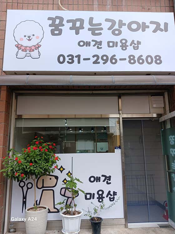 꿈꾸는 강아지