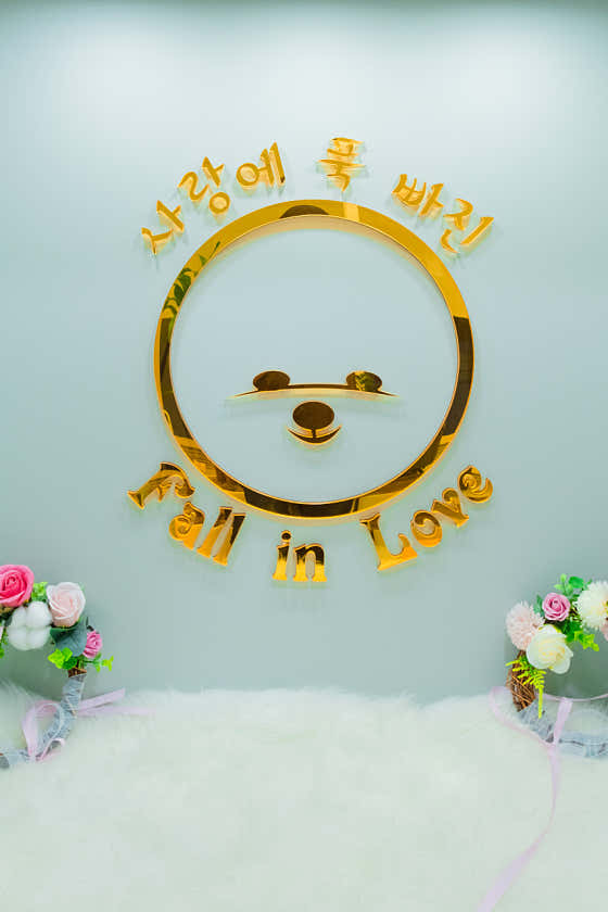 폴인럽 애견&고양이 미용 돌봄&호텔