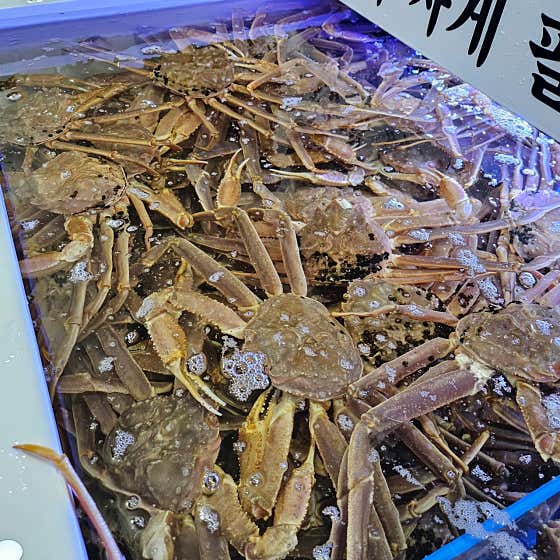 대게조은날 · 네이버 지도·플레이스 9