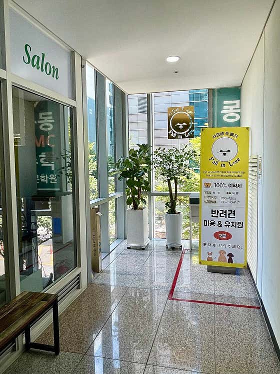 폴인럽 애견&고양이 미용 돌봄&호텔 · 네이버 지도·플레이스 10