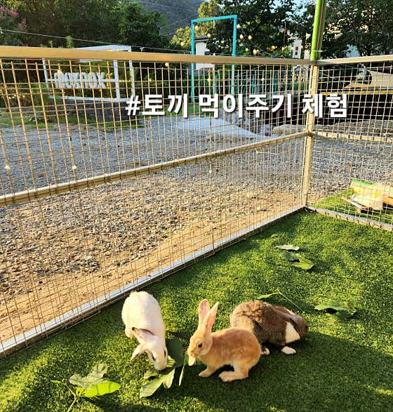 빌롱 · 네이버 지도·플레이스 3