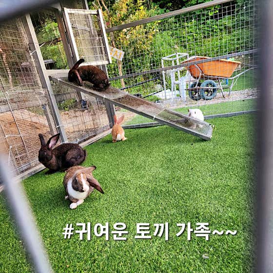 빌롱 · 네이버 지도·플레이스 4