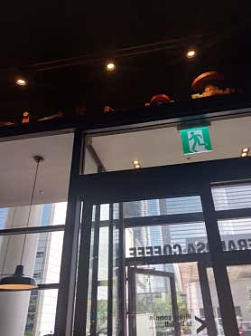 테라로사 코엑스점 사진 4