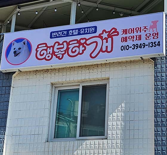 행복하개