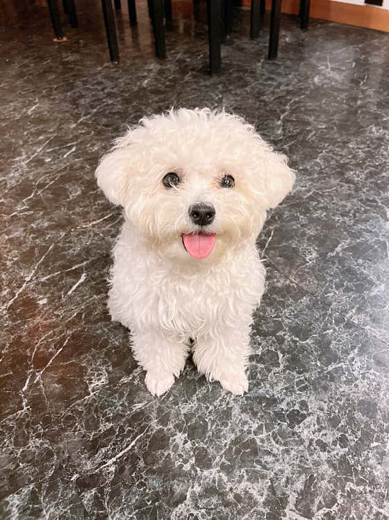 복희네 포차 · 네이버 지도·플레이스 2