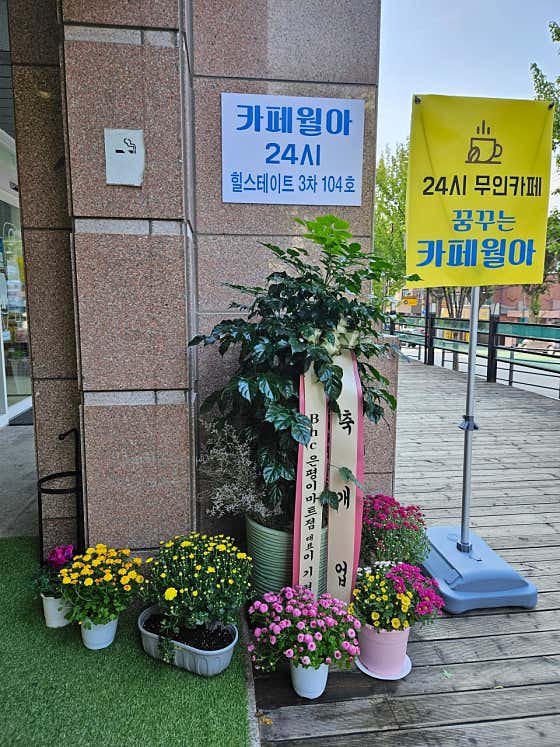 카페월아 · 네이버 지도·플레이스 3