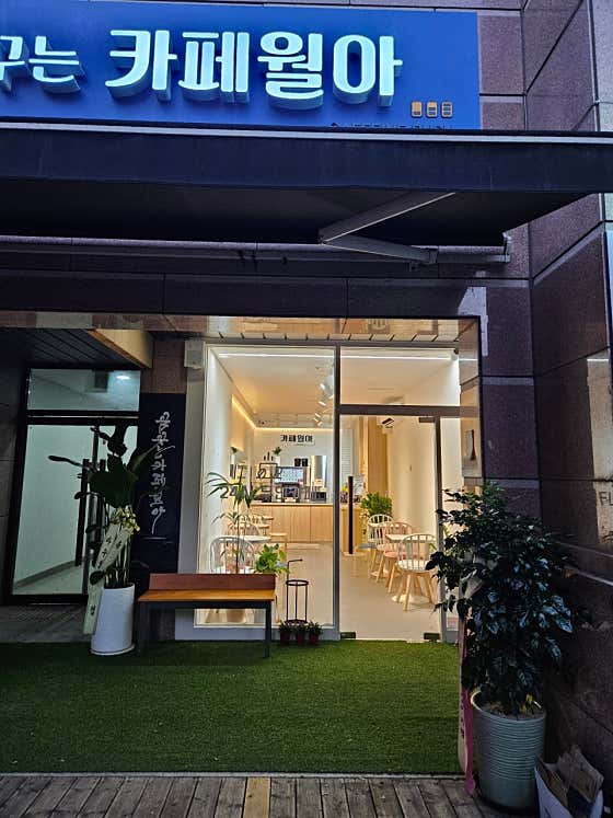 카페월아 · 네이버 지도·플레이스 7