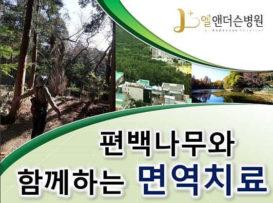 엘 앤더슨 병원 사진
