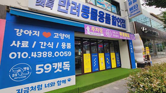 59캣독