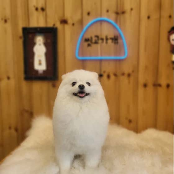 씻고가개 운정점 · 네이버 지도·플레이스 3