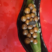 마카다미아 메뉴 사진(네이버)
