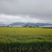 공기밥 메뉴 사진(네이버)