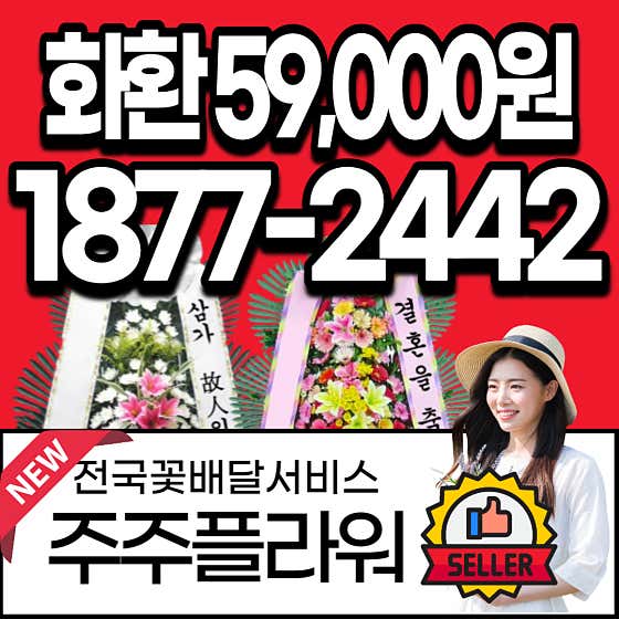 대구화환배달전문점