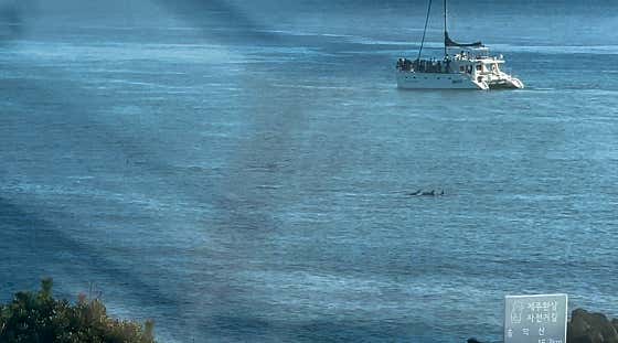 좋은아침페스츄리 제주점 · 네이버 지도·플레이스 2