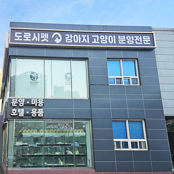 도로시펫
