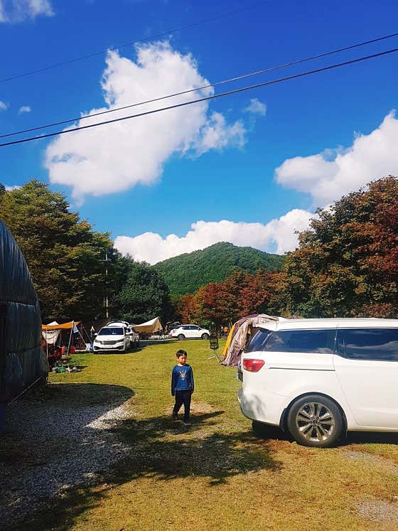 벌곡 산속 캠핑장