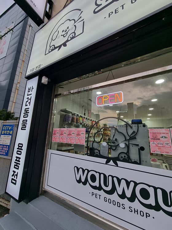 와우와우 아슈크림