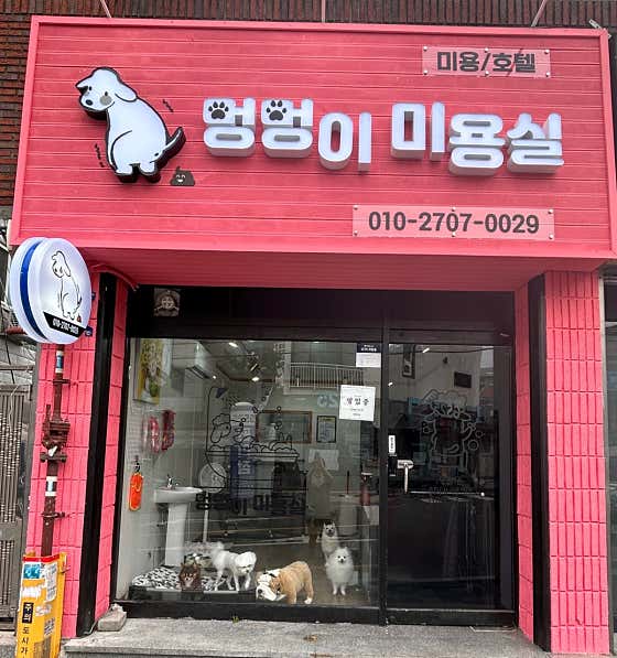 멍멍이미용실