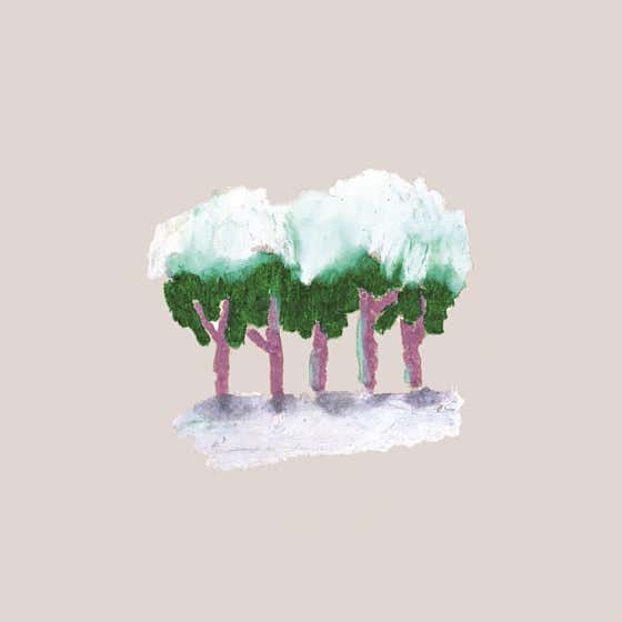 손탁블렌드 '겨울숲' 메뉴 사진(네이버)