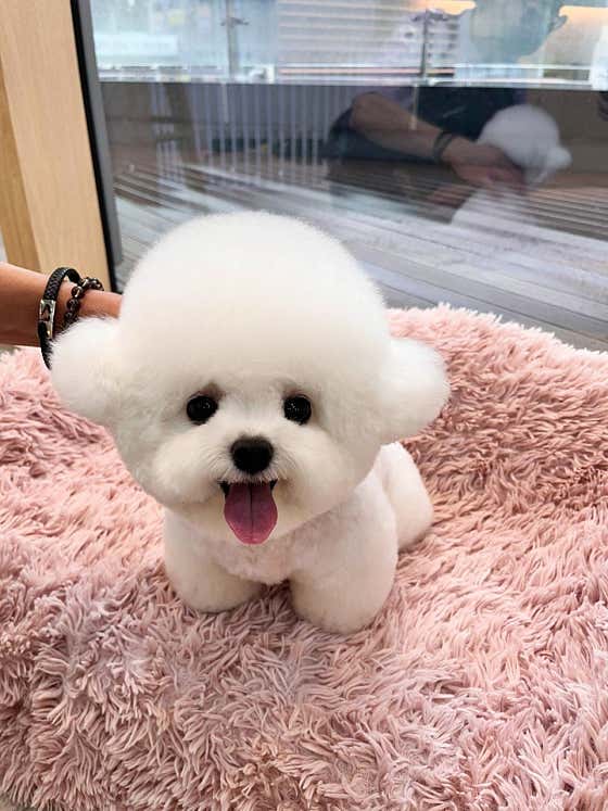 에브리뽀송 · 네이버 지도·플레이스 3