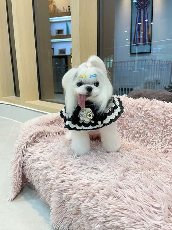 에브리뽀송 · 네이버 지도·플레이스 8