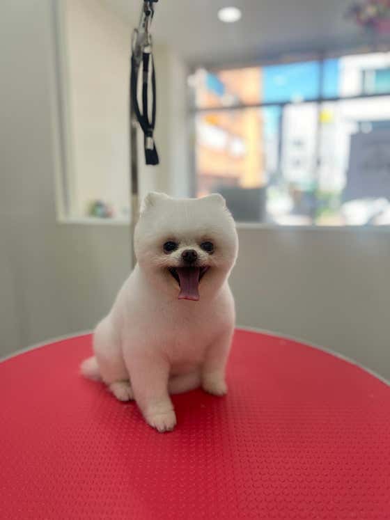 오늘도예쁘개 · 네이버 지도·플레이스 4