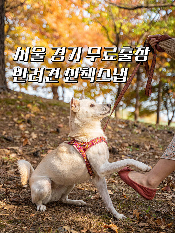 럭키스냅