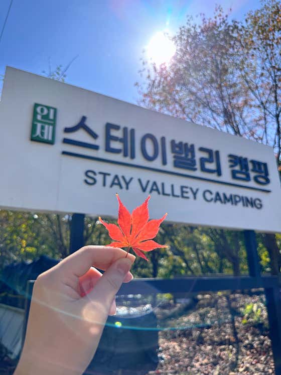 인제 스테이밸리 캠핑 대표이미지