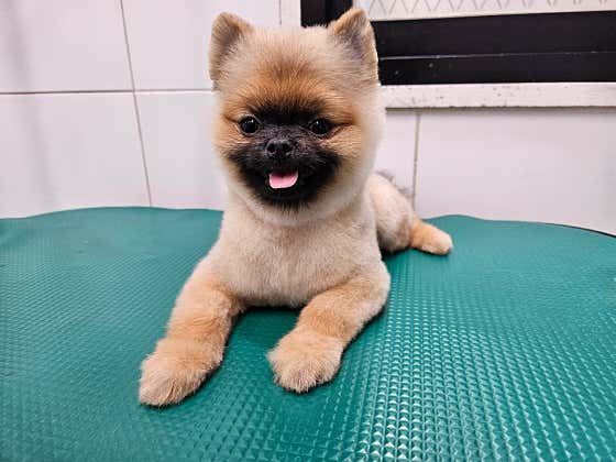 깍까독 · 네이버 지도·플레이스 3