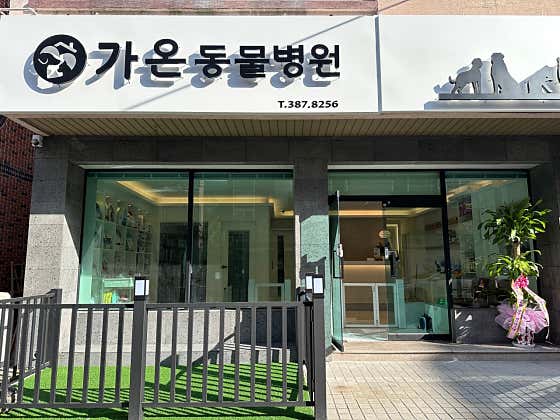 가온동물병원