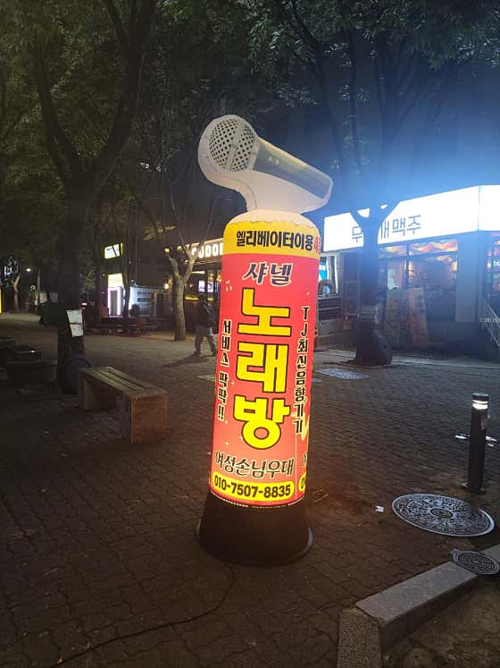 시넬노래짱