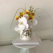 높은단(호접란케이크) 메뉴 사진(네이버)