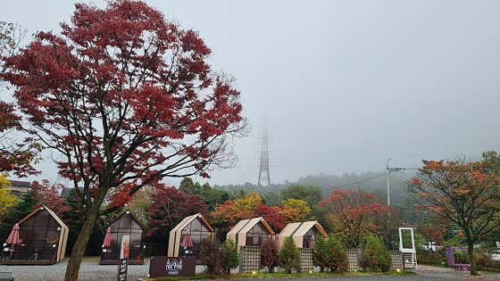 더파인 글램핑 · 네이버 지도·플레이스 10