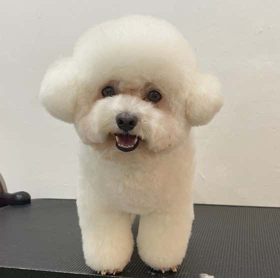 란이네멍살롱 · 네이버 지도·플레이스 5