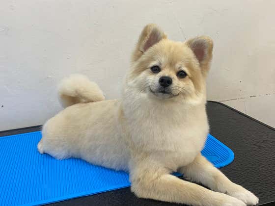 란이네멍살롱 · 네이버 지도·플레이스 3