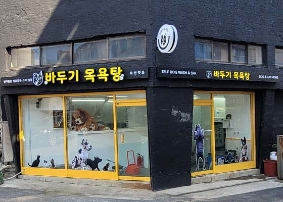 바두기목욕탕 애견셀프목욕 · 네이버 지도·플레이스 3