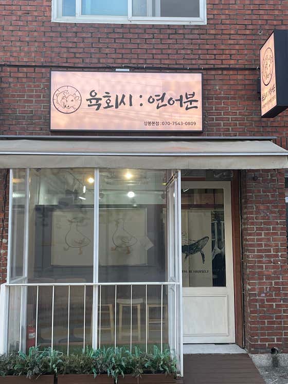 육회시연어분