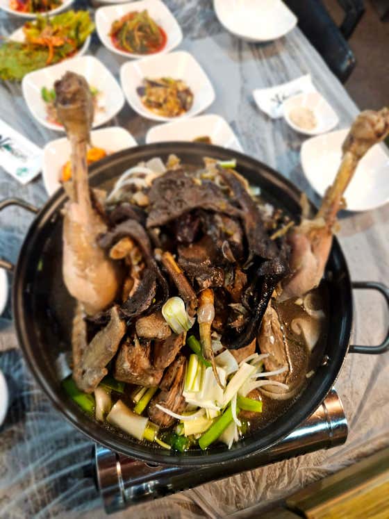 자연산능이백숙(계절) 메뉴 사진(네이버)
