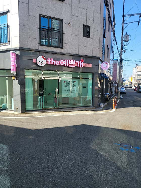 the예쁘개 대표이미지