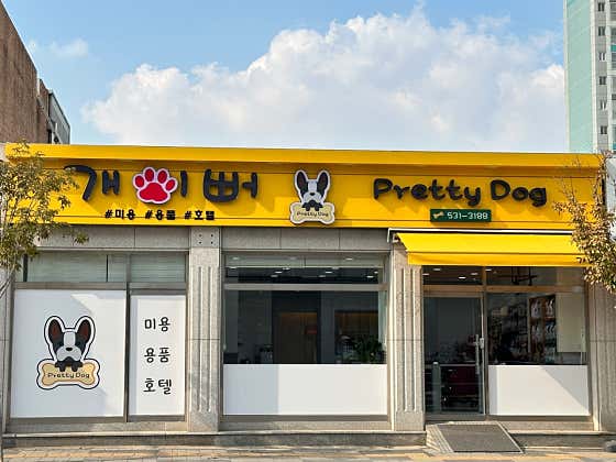개이뻐
