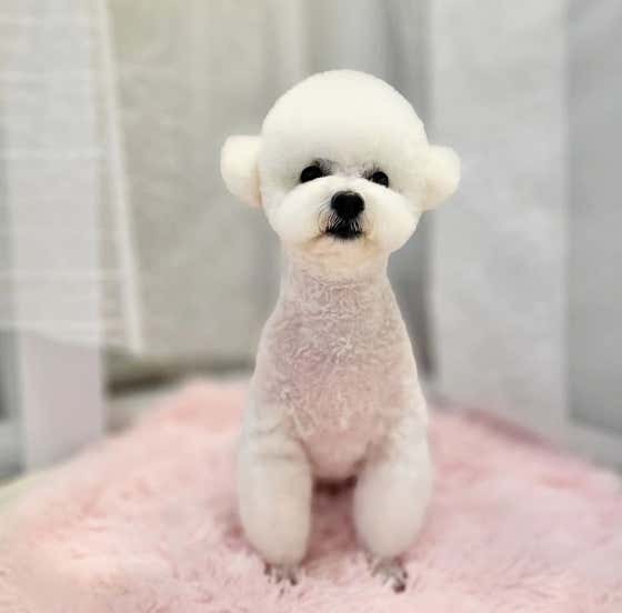 옳지 · 네이버 지도·플레이스 7
