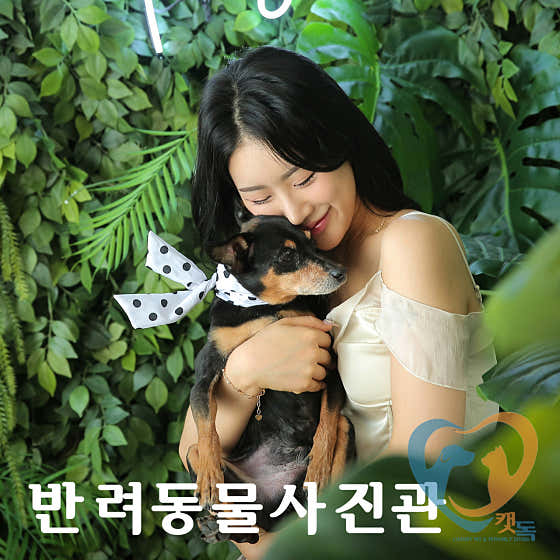 캣독사진관