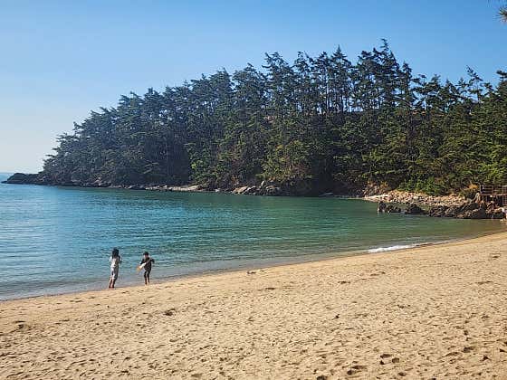 굼벵이캠핑장 대표이미지