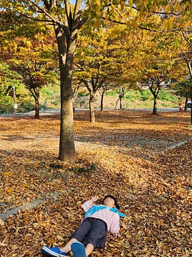 굼벵이캠핑장 사진